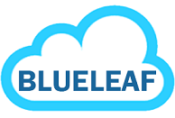 Blueleaf Cyberspace Systems Pvt Ltd in Elioplus