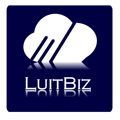 Luit Infotech P Ltd logo