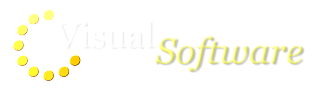 Visual Software Inc in Elioplus